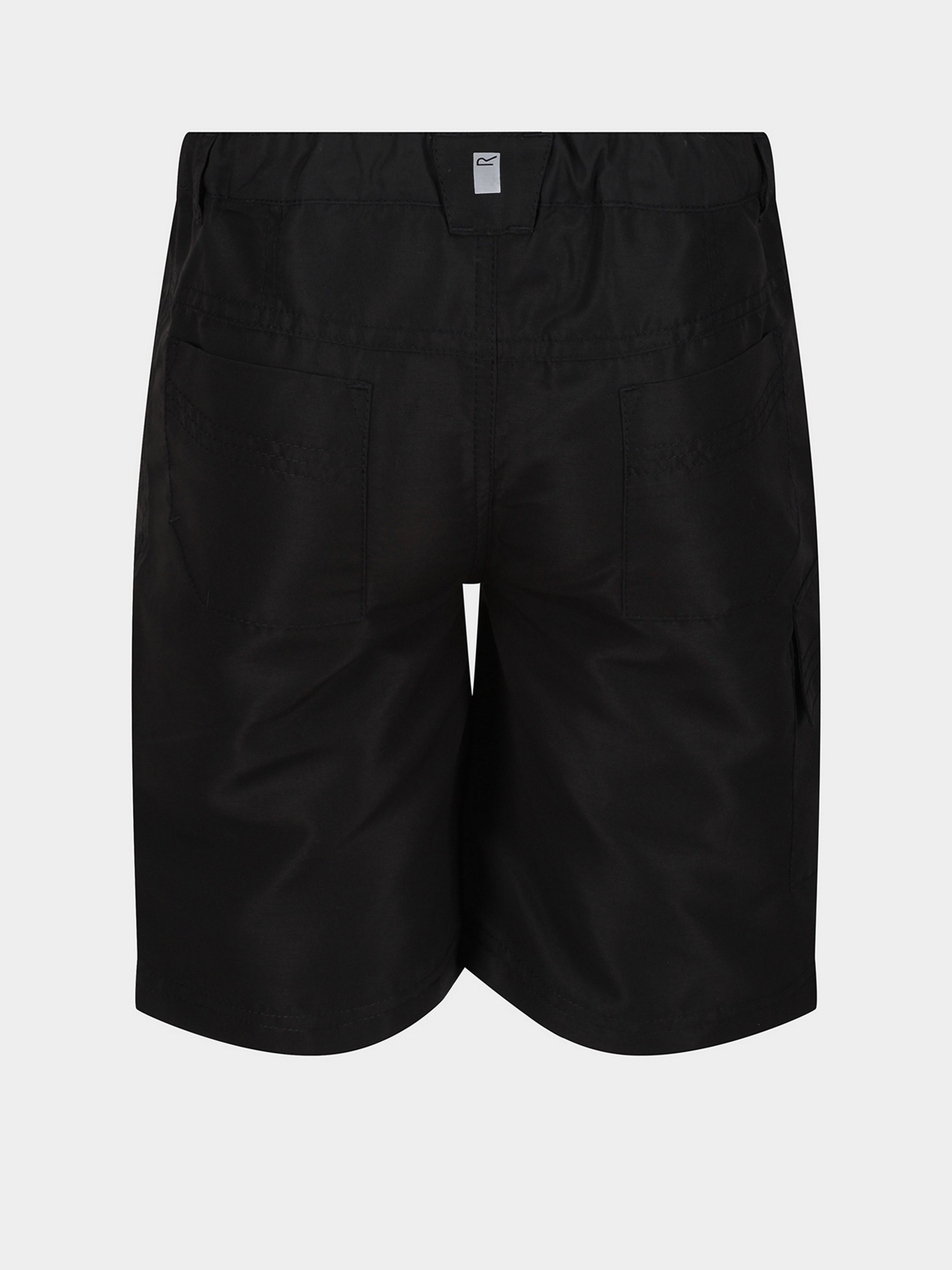 Повсякденні шорти Regatta Sorcer II модель RKJ106-800 Фото