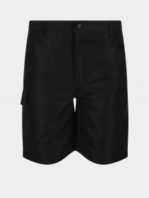 Повсякденні шорти Regatta Sorcer II модель RKJ106-800 Фото