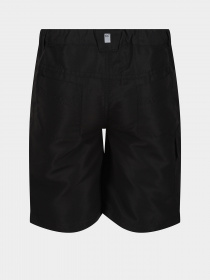 Повсякденні шорти Regatta Sorcer II модель RKJ106-800 Фото