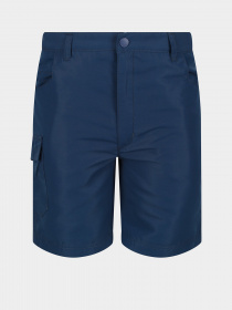 Шорты Regatta Sorcer II модель RKJ106-ZV7 Фото