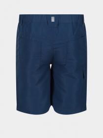 Шорты Regatta Sorcer II модель RKJ106-ZV7 Фото