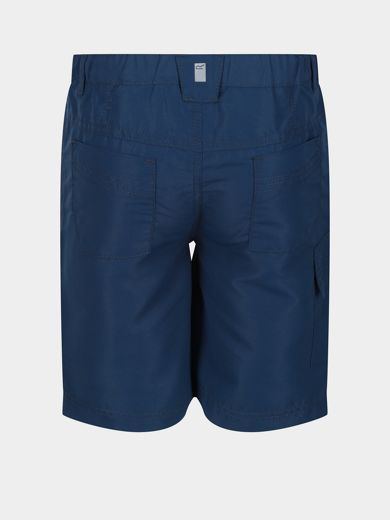 Повсякденні шорти Regatta Sorcer II модель RKJ106-ZV7 Повсякденні шорти Regatta Sorcer II модель RKJ106-ZV7 Фото