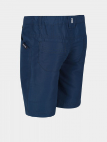 Повсякденні шорти Regatta Sorcer II модель RKJ106-ZV7 Повсякденні шорти Regatta Sorcer II модель RKJ106-ZV7 Фото