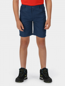 Повсякденні шорти Regatta Sorcer II модель RKJ106-ZV7 Повсякденні шорти Regatta Sorcer II модель RKJ106-ZV7 Фото