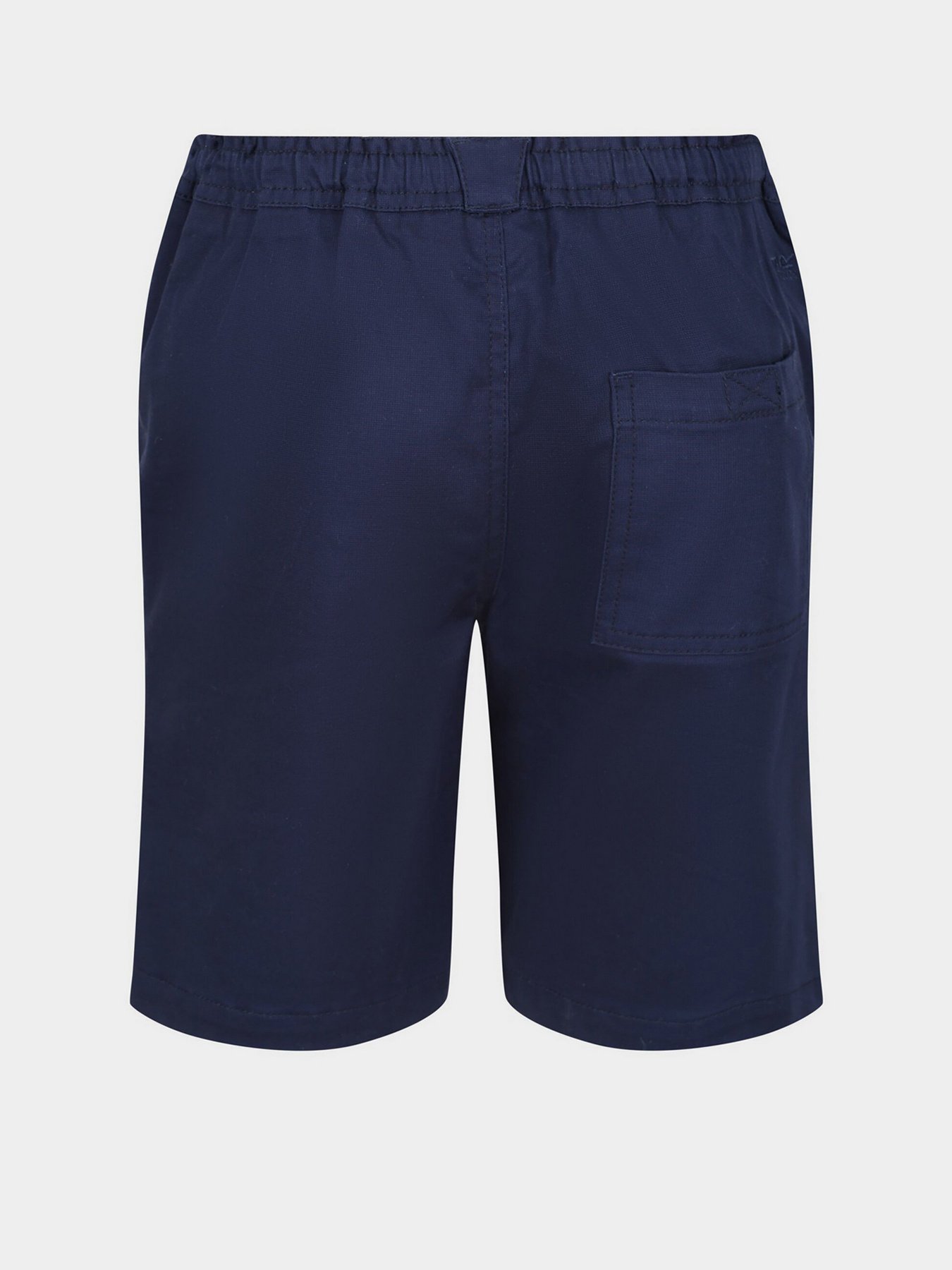 Шорты Regatta Alber модель RKJ120-8CI Фото