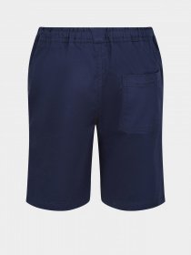 Шорты Regatta Alber модель RKJ120-8CI Фото