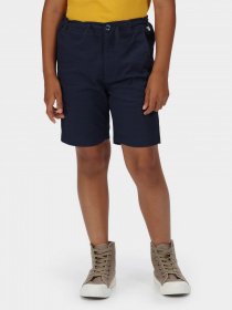 Повсякденні шорти Regatta Alber модель RKJ120-8CI Повсякденні шорти Regatta Alber модель RKJ120-8CI Фото