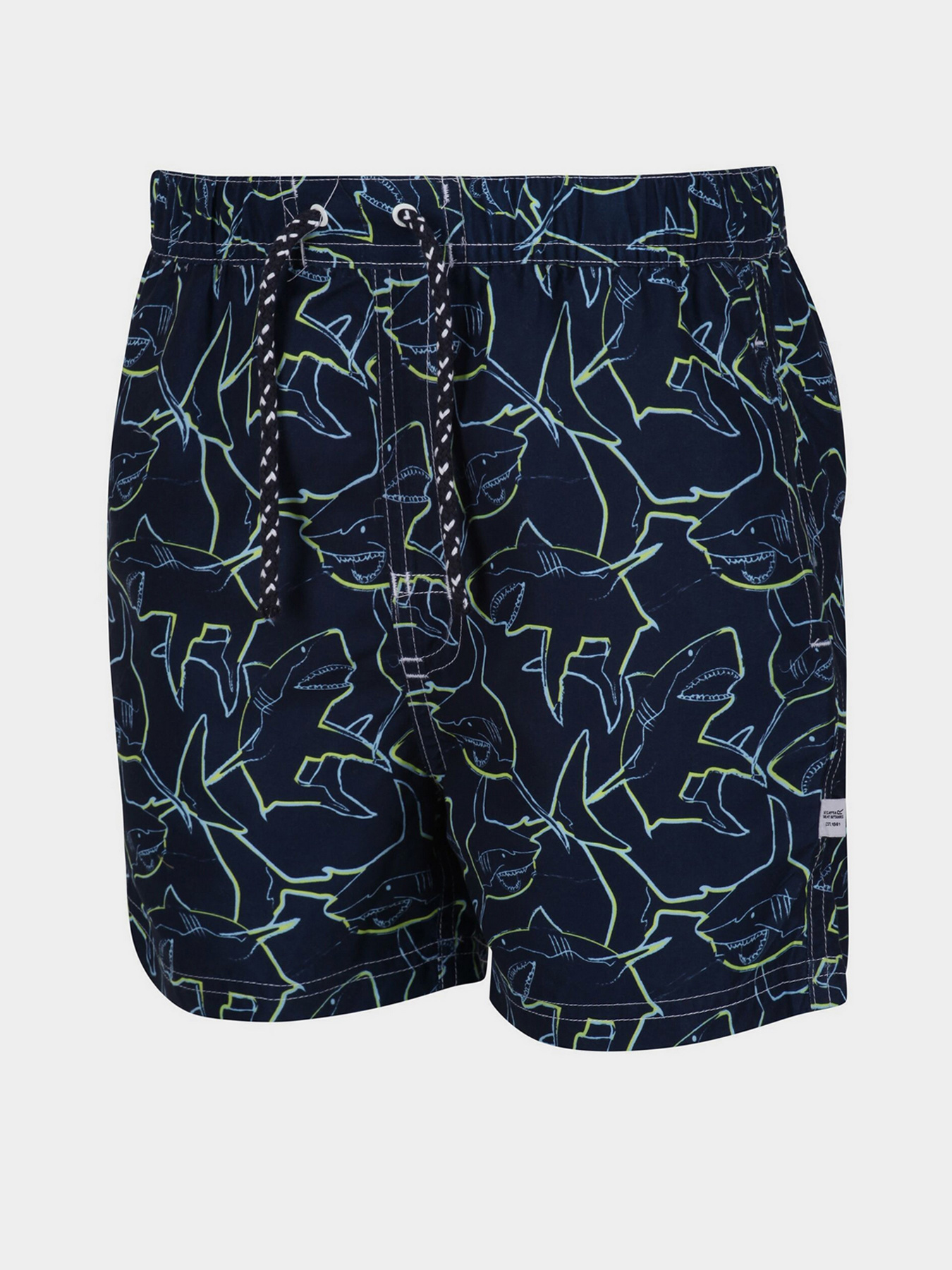 Шорты для плавания Regatta Skander II модель RKM012-M0W Фото