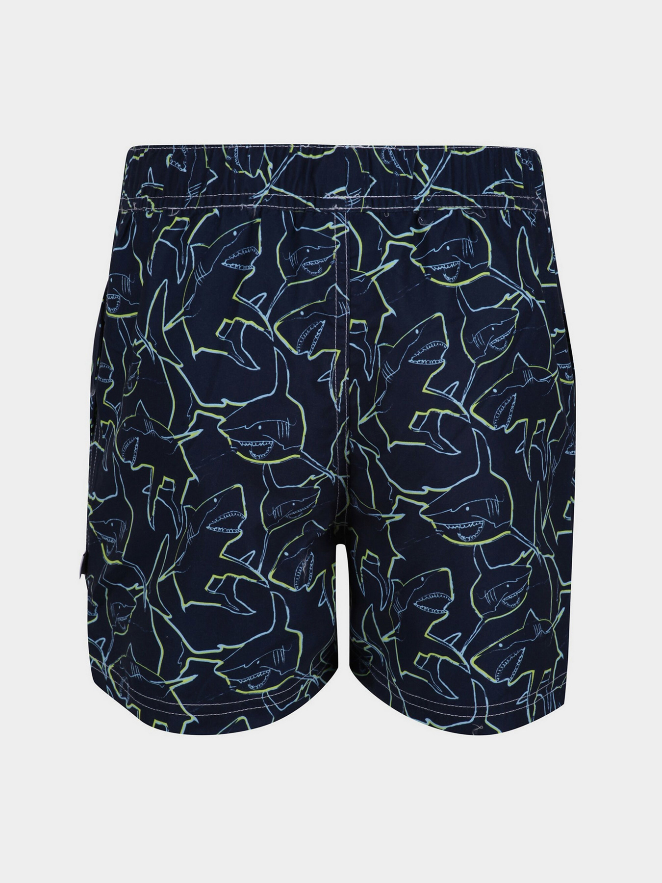 Шорты для плавания Regatta Skander II модель RKM012-M0W Фото