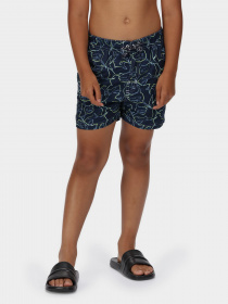 Шорты для плавания Regatta Skander II модель RKM012-M0W Фото