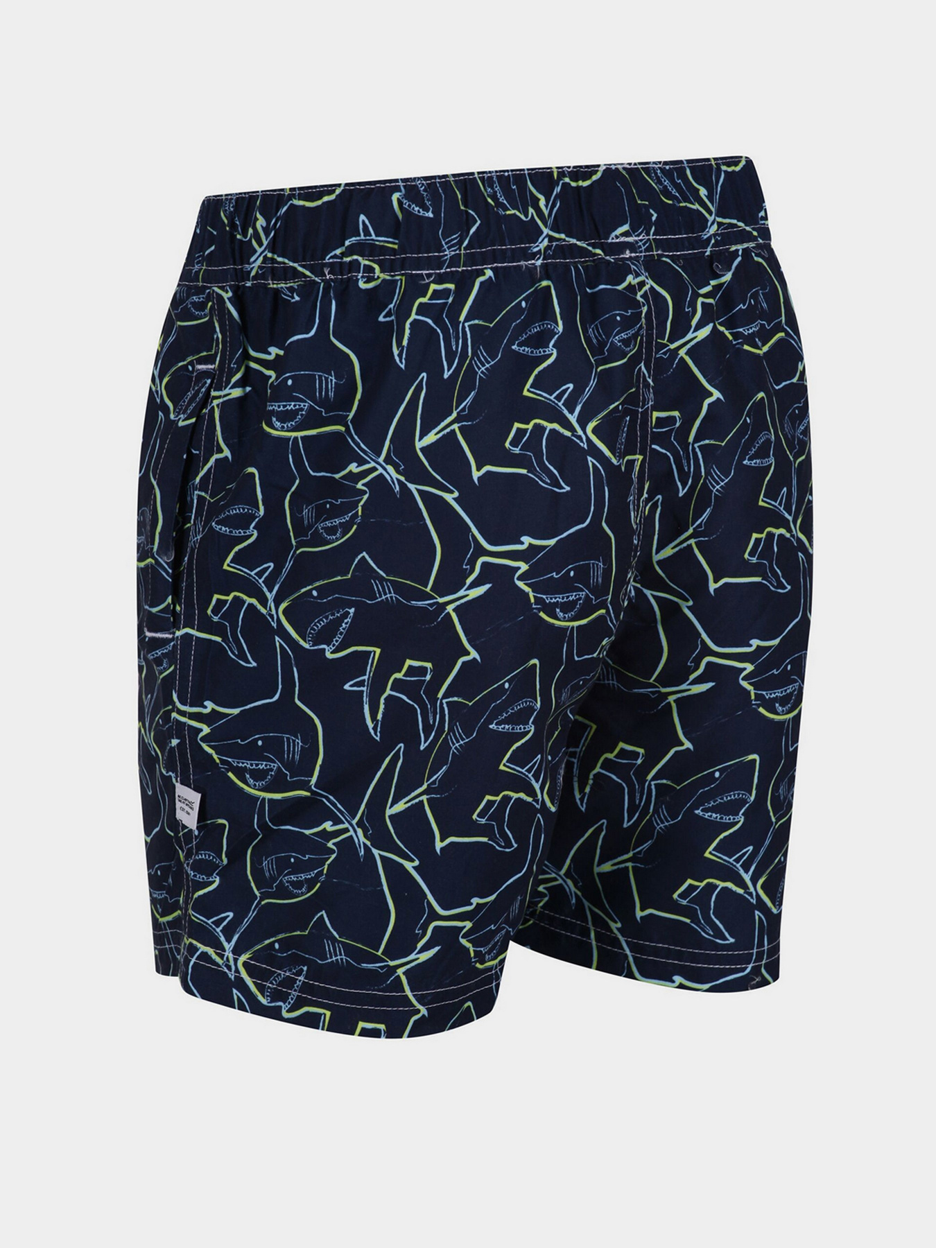 Шорти для плавання Regatta Skander II модель RKM012-M0W Фото