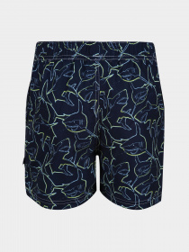 Шорти для плавання Regatta Skander II модель RKM012-M0W Фото