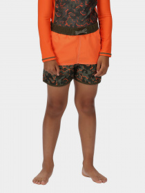 Шорти для плавання Regatta Sergio модель RKM024-TKM Фото