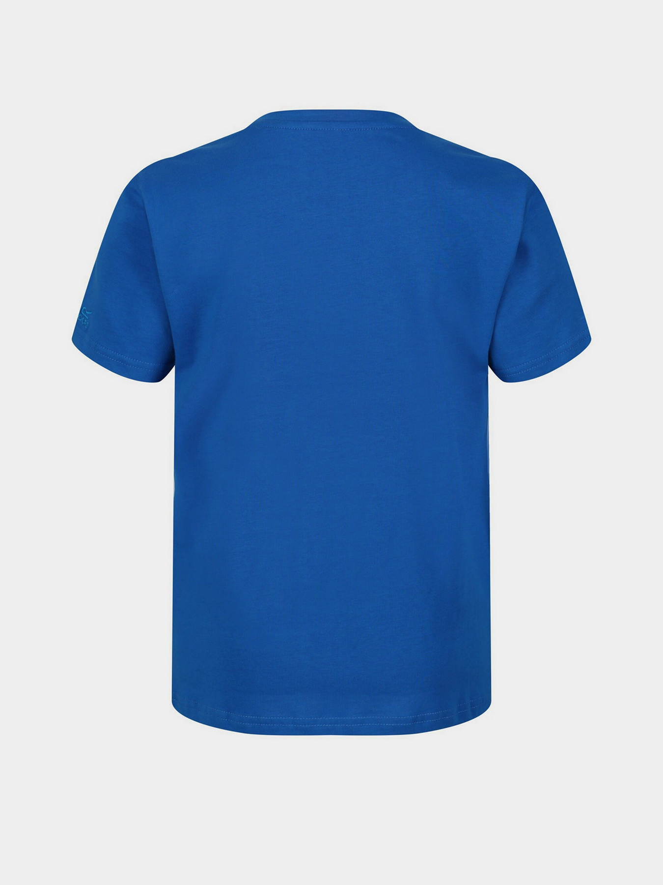 Футболки і поло Regatta Bosley Модель RKT131-0HZ Фото