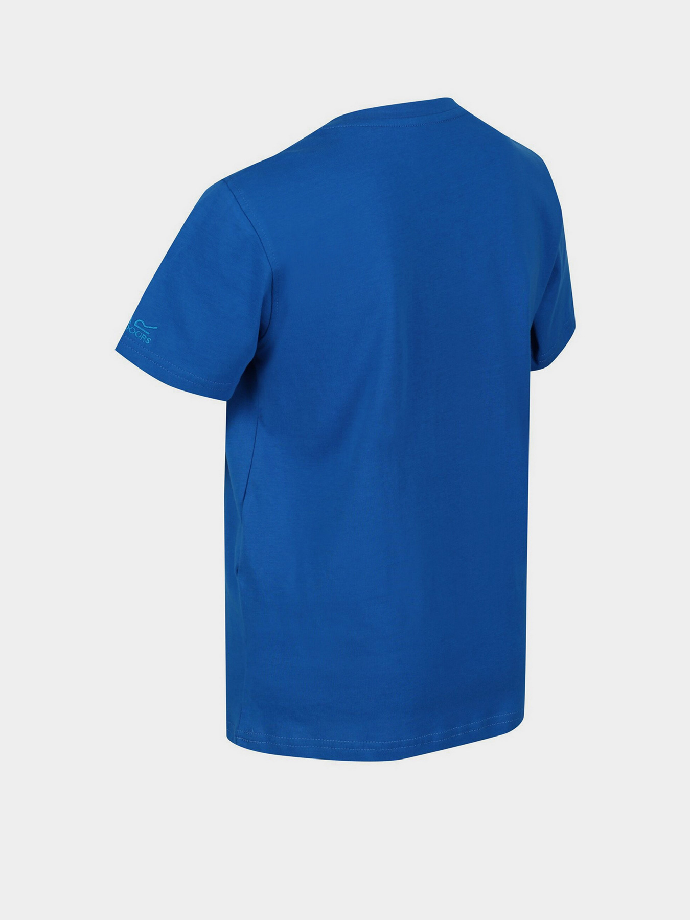 Футболки і поло Regatta Bosley модель RKT131-0HZ Футболки і поло Regatta Bosley модель RKT131-0HZ Фото