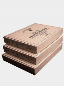 Набор носков RIX модель MNA31EC121219 Набор носков RIX модель MNA31EC121219 Фото