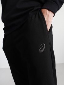 Штаны спортивные Asics Small Logo модель 2031A981-001 Фото