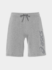 Шорты Asics BIG LOGO модель 2031A976-022 Фото