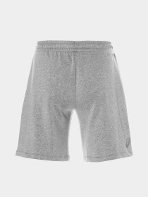 Шорты Asics BIG LOGO модель 2031A976-022 Фото