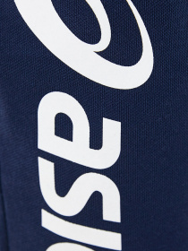 Повседневные шорты Asics модель 2031B541-402 Фото