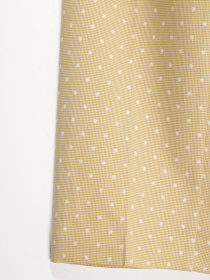 Брюки повседневные Sassofono модель A172-SC-654011 ГОРЧИЦА Фото