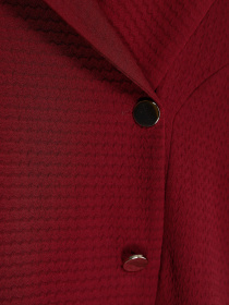 Платье миди Sassofono модель A201-SC-17106 Бордовий Фото