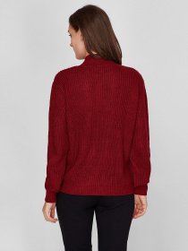 Свитер Sassofono модель A201-SC-27669, Бордовий Фото