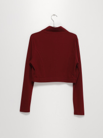 Жакет Sassofono модель A191-SF-107500 БОРДОВИЙ Фото