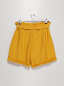 Шорты Sassofono модель A202-SC-47197 Жовтий Фото