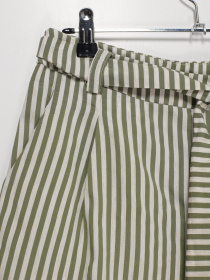 Шорты Sassofono модель A202-SC-47367 Зелений Фото