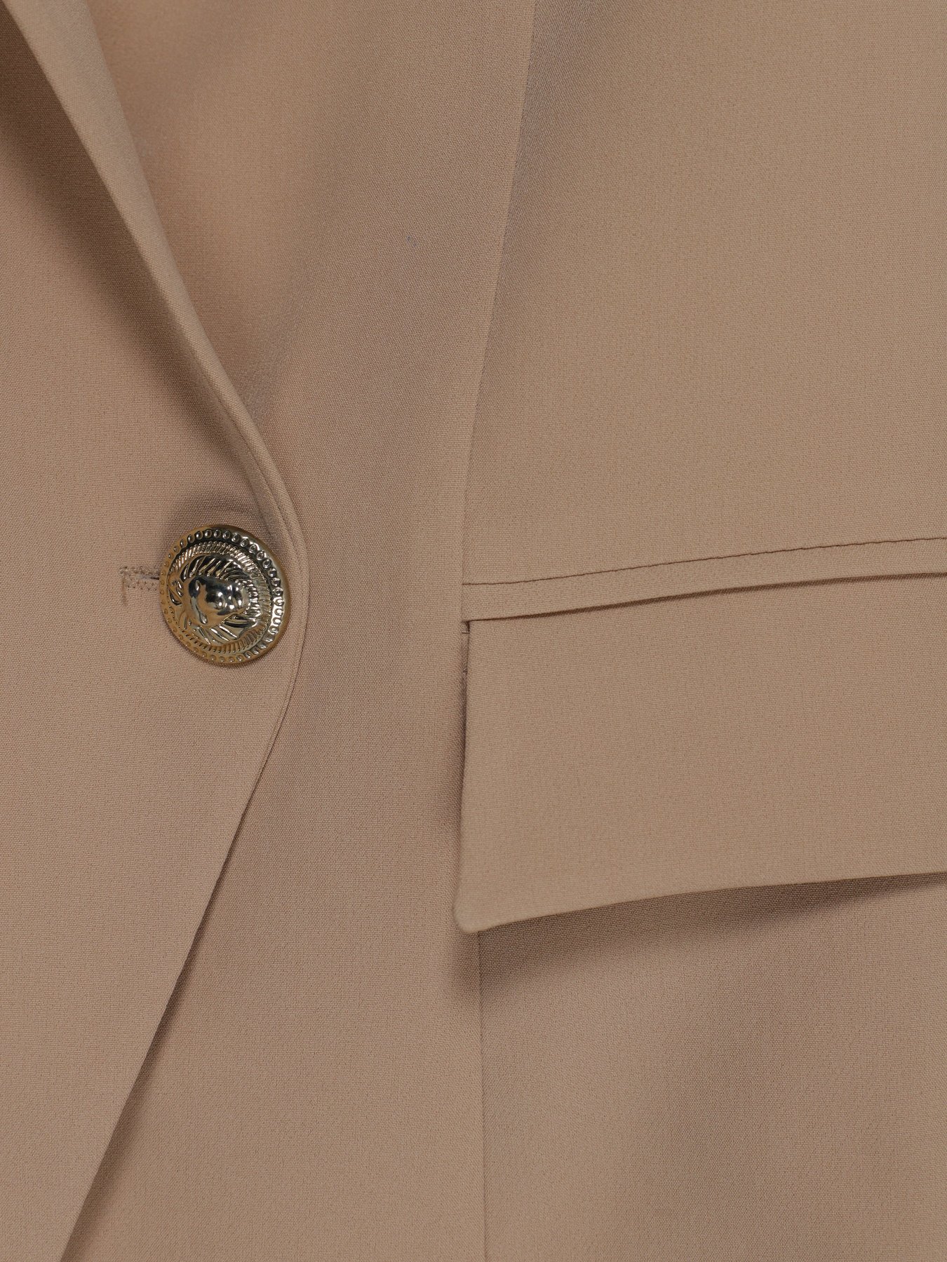 Піджак Sassofono модель A202-SC-52716 Бежевий Фото