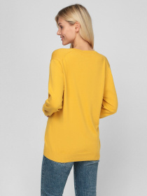 Свитер Sassofono модель A201-SF-480141-1, ЖОВТИЙ Фото