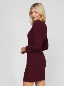 Платье мини Sassofono модель A201-SC-1828, Бордовий Фото