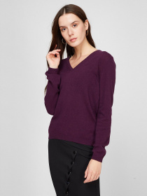 Джемпер Sassofono модель A191-SF-461111, Фіолетовий Фото