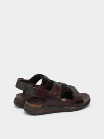 PIKOLINOS модель M0B-0122-OLMO Фото