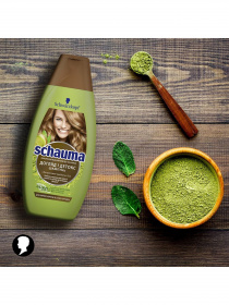 Schauma Восстановление и Уход Schauma модель 4015100306736 Фото