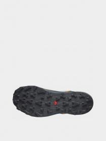 Кроссовки SALOMON Thundercross GTX модель L47383100 Фото