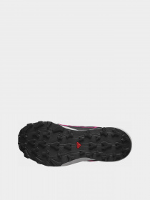 Кроссовки повседневные SALOMON Thundercross GTX модель L47383500 Фото