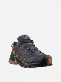 Кроссовки для бега SALOMON XA PRO 3D v8 GTX модель L40989200 Фото
