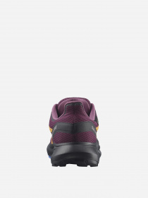 Кросівки для бігу SALOMON Hypulse GTX модель L41596500 Фото