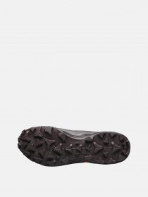 Кроссовки SALOMON  HIKE GTX 2 W модель L41730500 Фото