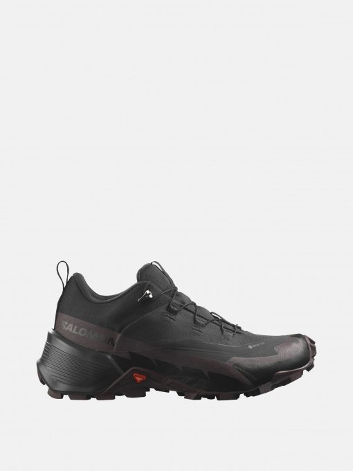 Кроссовки повседневные SALOMON  HIKE GTX 2 W модель L41730500 Фото