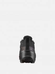 Кросівки повсякденні SALOMON  HIKE GTX 2 W модель L41730500 Фото