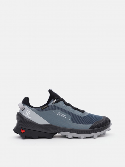 Кроссовки повседневные SALOMON Cross Over GTX модель L41735700 Фото
