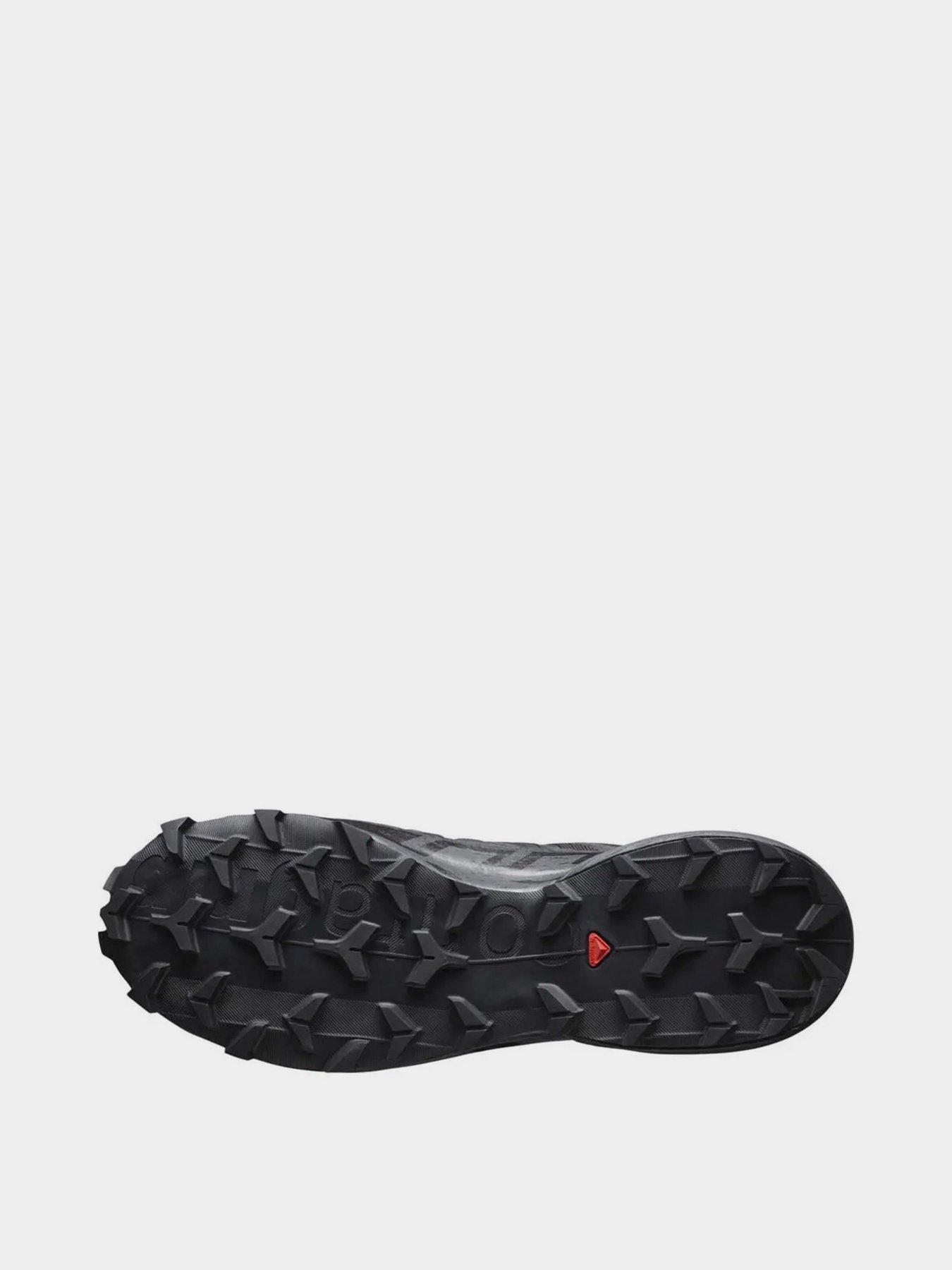 Кроссовки SALOMON Speedcross 6 GTX модель L41738600 Фото