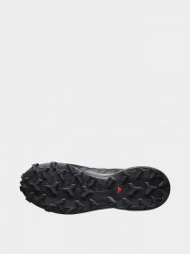 Кроссовки повседневные SALOMON Speedcross 6 GTX модель L41738600 Фото