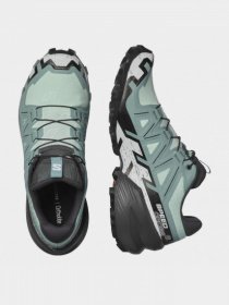 Кросівки для бігу SALOMON Speedcross 6 модель L41743100 Фото