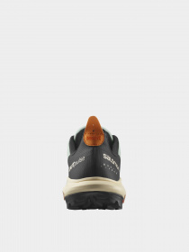 Кроссовки для тренировок SALOMON Outdoor Ayakkabı модель L41585100 Фото