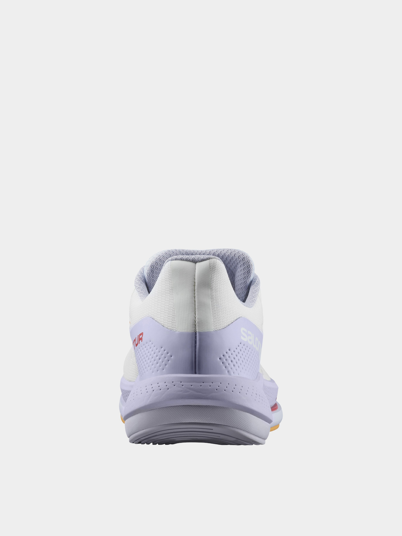 Кросівки для бігу SALOMON Spectur Модель L41589400 Фото