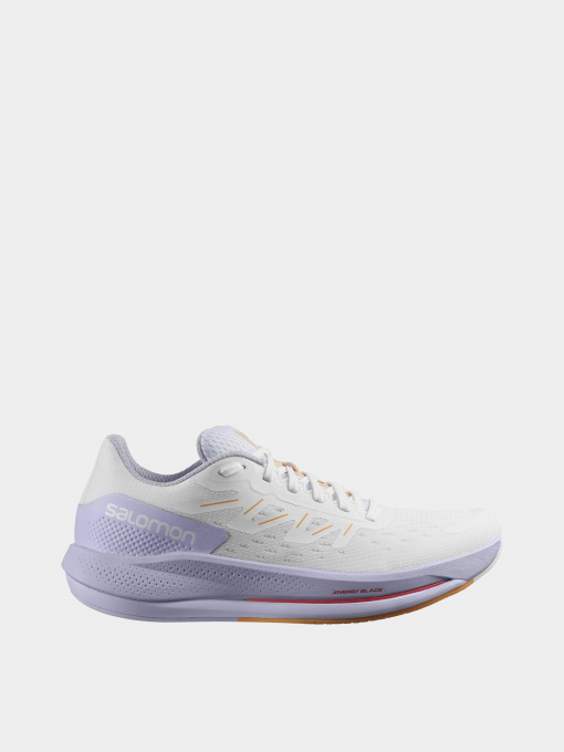 Кросівки для бігу SALOMON Spectur модель L41589400 Фото